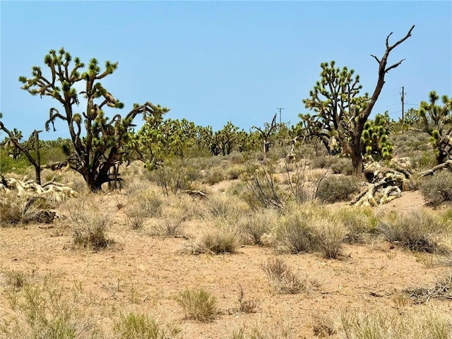 26681 Yucca Rd, Meadview, AZ 86444