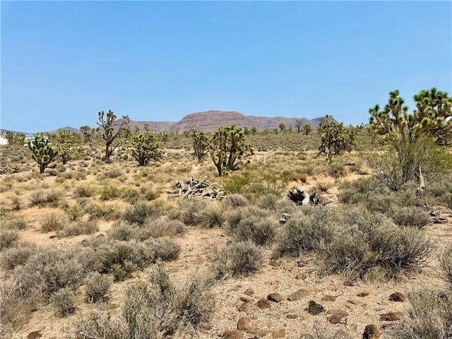 26681 Yucca Rd, Meadview, AZ 86444