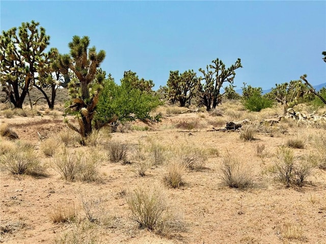 26681 Yucca Rd, Meadview, AZ 86444