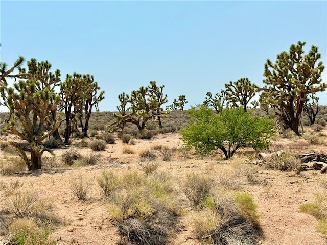 26681 Yucca Rd, Meadview, AZ 86444