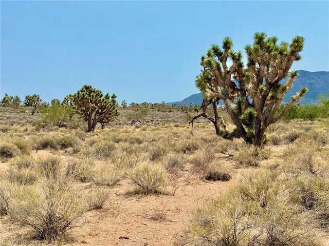 26681 Yucca Rd, Meadview, AZ 86444