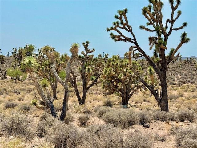 26681 Yucca Rd, Meadview, AZ 86444