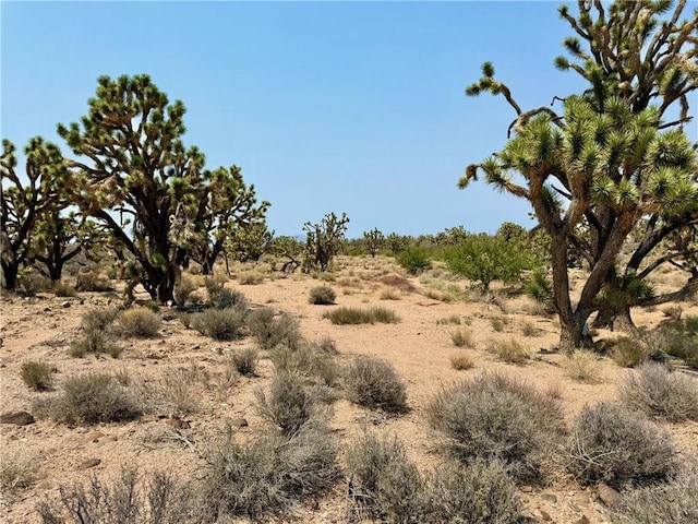 26681 Yucca Rd, Meadview, AZ 86444