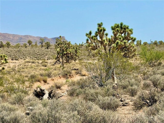 26681 Yucca Rd, Meadview, AZ 86444