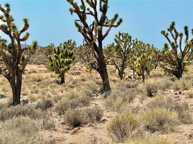 26681 Yucca Rd, Meadview, AZ 86444