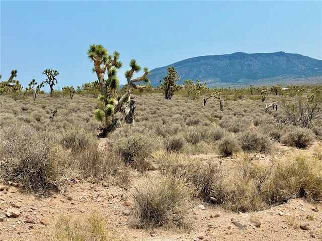 26681 Yucca Rd, Meadview, AZ 86444