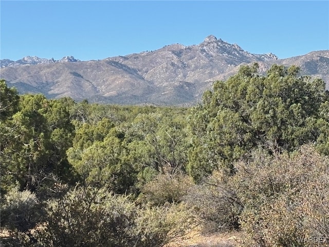 000 E Hidden Valley Rd, Kingman AZ, 86401 land for sale