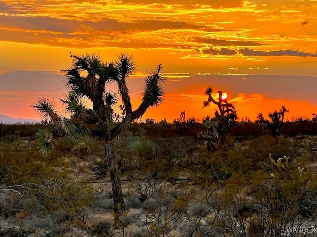 2358 S Cattle Crossing Rd, Yucca, AZ 86438