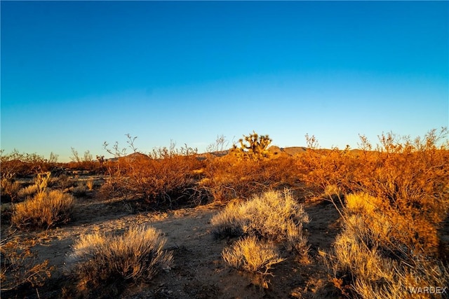 Listing photo 3 for 2358 S Cattle Crossing Rd, Yucca AZ 86438