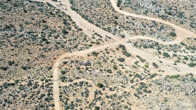 bird's eye view with view of desert