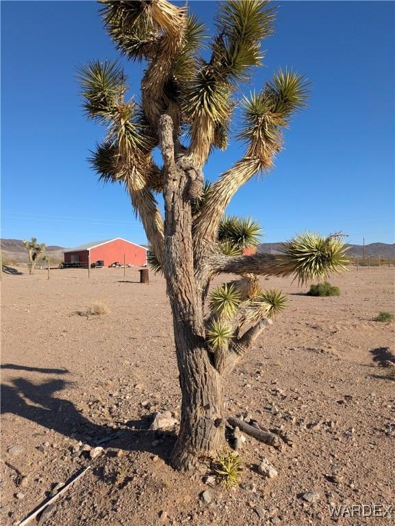 000 W Indian Peak Dr, White Hills, AZ 86445 - photo 17