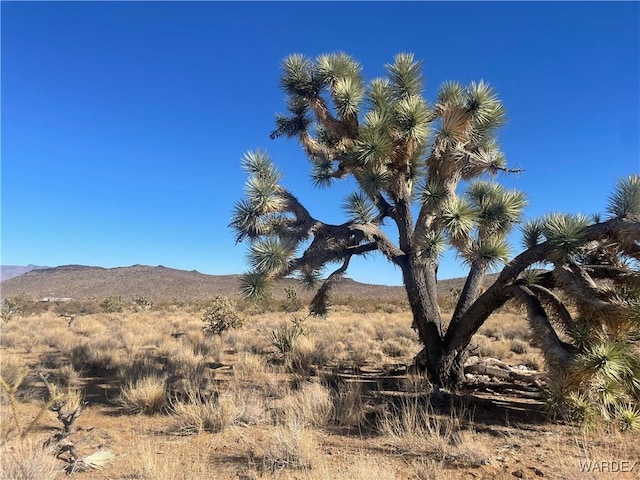 000 Telegraph Dr, Dolan Springs AZ, 86441 land for sale