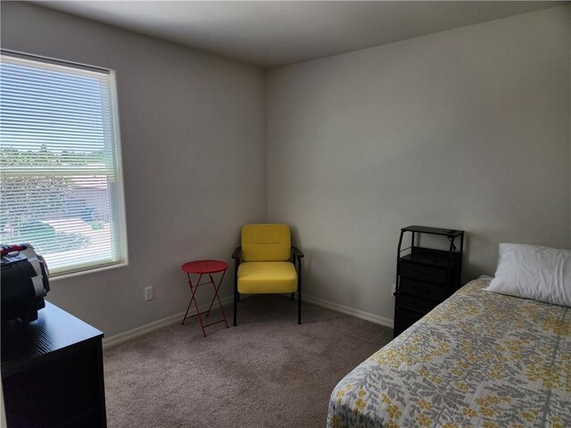 3659 E Andrea Dr, Kingman, AZ 86409 - photo 12