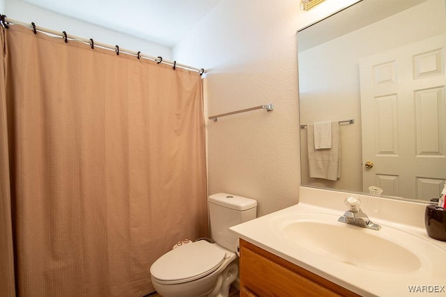 bathroom with toilet and vanity