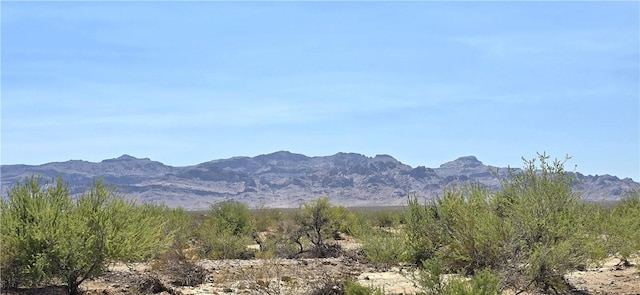 LOT9 S Tombstone Trl, Golden Valley, AZ 86413 - photo 13