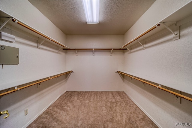 spacious closet with carpet flooring