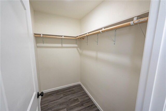 7674 E Oxbow Dr, Kingman, AZ 86401 - walk in closet featuring dark wood finished floors