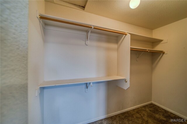 walk in closet featuring dark colored carpet