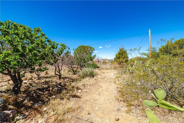 3345 W Smith Dr, Golden Valley, AZ 86413 - view of local wilderness