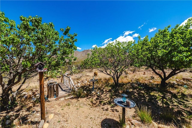 3345 W Smith Dr, Golden Valley, AZ 86413 - view of yard