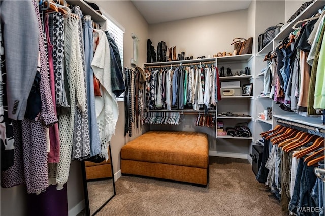 walk in closet featuring carpet