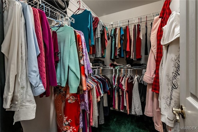 walk in closet featuring carpet