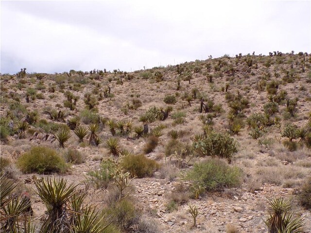2LOTS N Mt Tipton Dr, Dolan Springs, AZ 86441