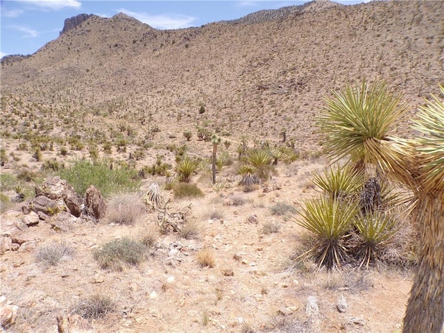 2LOTS N Mt Tipton Dr, Dolan Springs, AZ 86441