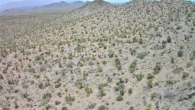 2LOTS N Mt Tipton Dr, Dolan Springs, AZ 86441
