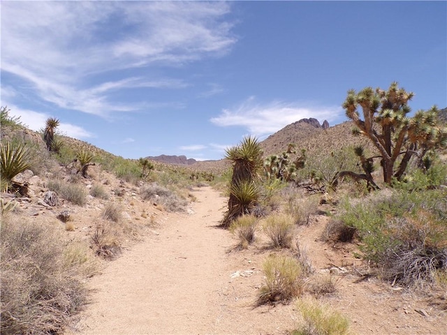 2LOTS N Mt Tipton Dr, Dolan Springs, AZ 86441