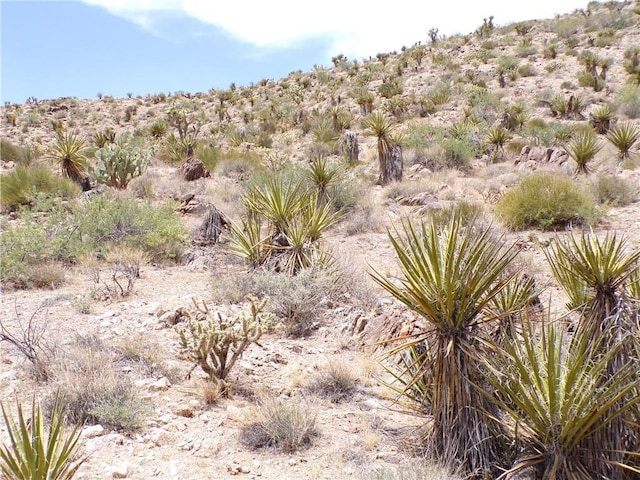 2LOTS N Mt Tipton Dr, Dolan Springs, AZ 86441