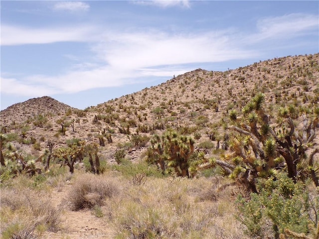 2LOTS N Mt Tipton Dr, Dolan Springs, AZ 86441