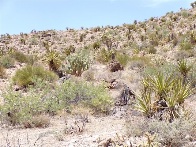 2LOTS N Mt Tipton Dr, Dolan Springs, AZ 86441