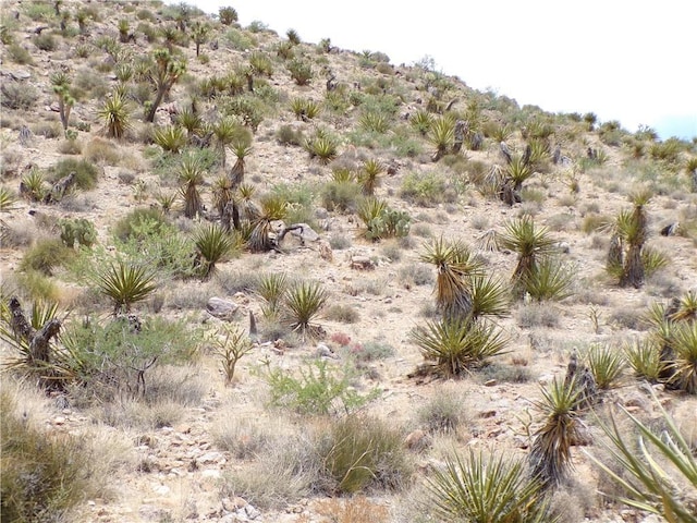 2LOTS N Mt Tipton Dr, Dolan Springs, AZ 86441