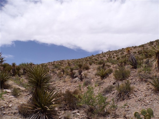 2LOTS N Mt Tipton Dr, Dolan Springs, AZ 86441