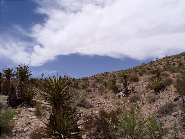 2LOTS N Mt Tipton Dr, Dolan Springs, AZ 86441