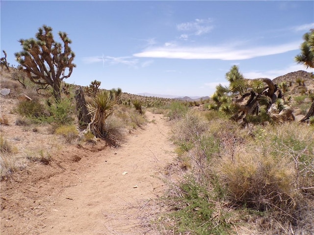 2LOTS N Mt Tipton Dr, Dolan Springs, AZ 86441