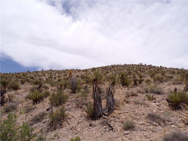 2LOTS N Mt Tipton Dr, Dolan Springs, AZ 86441