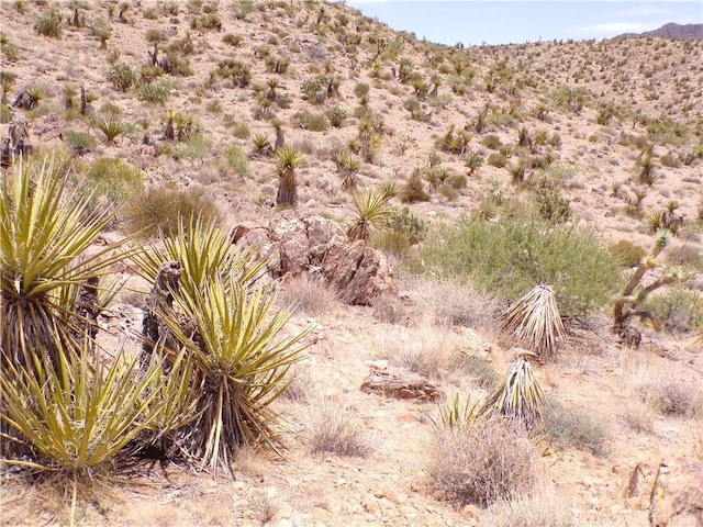 2LOTS N Mt Tipton Dr, Dolan Springs, AZ 86441