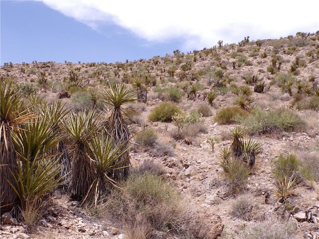2LOTS N Mt Tipton Dr, Dolan Springs, AZ 86441