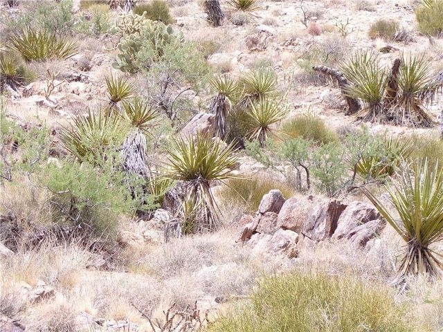 2LOTS N Mt Tipton Dr, Dolan Springs, AZ 86441