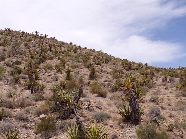 2LOTS N Mt Tipton Dr, Dolan Springs, AZ 86441