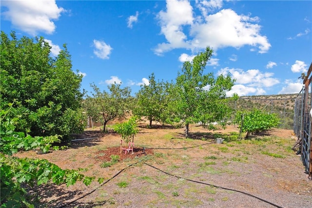 3155 N Duffy Rd, Kingman, AZ 86401 - photo 27