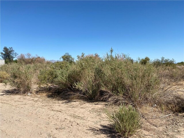 10158 S Jamaica Dr Unit 126, Mohave Valley, AZ 86440 - photo 7