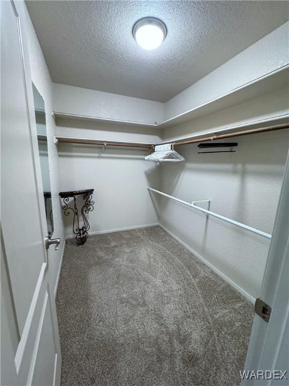 walk in closet with dark carpet