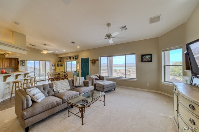 13170 Cactus Dr, Topock, AZ 86436 - photo 22