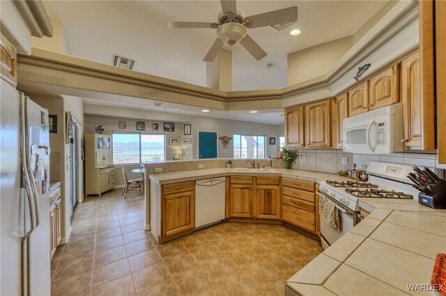 13170 Cactus Dr, Topock, AZ 86436 - photo 27