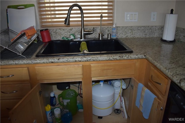 room details with dishwasher and a sink