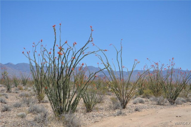 G12 S Rainbow Rd, Yucca, AZ 86438