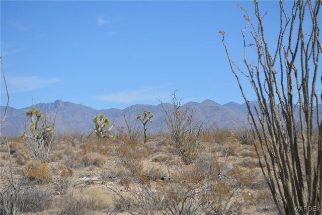 G12 S Rainbow Rd, Yucca, AZ 86438